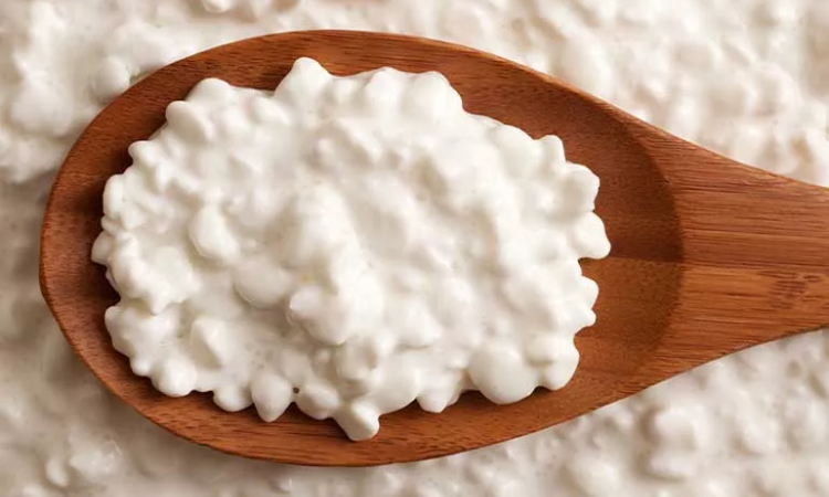 Why Cottage Cheese Is the Ultimate Low-Calorie Snack for Weight Loss